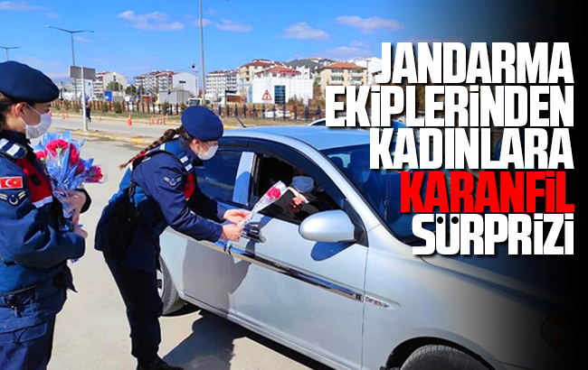 Jandarma ekiplerinden kadınlara karanfil sürprizi