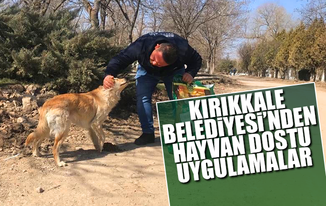 Kırıkkale Belediyesi'nden hayvan dostu uygulamalar