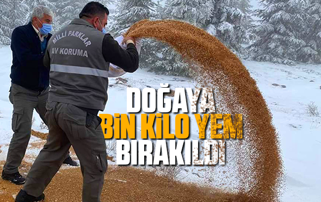 Kırıkkale’de doğaya bin kilogram yem bırakıldı