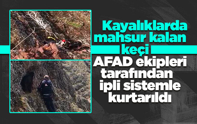 Kayalıkta sıkışan keçiyi AFAD kurtardı