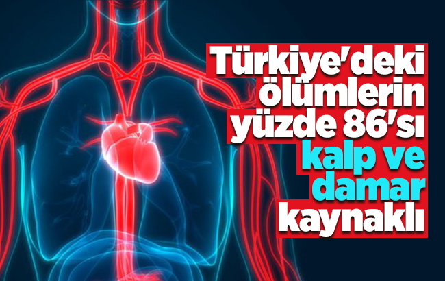 Türkiye'deki ölümlerin yüzde 86'sı kalp ve damar kaynaklı