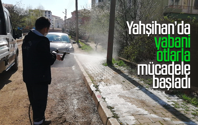 Yahşihan’da yabani otlarla mücadele başladı