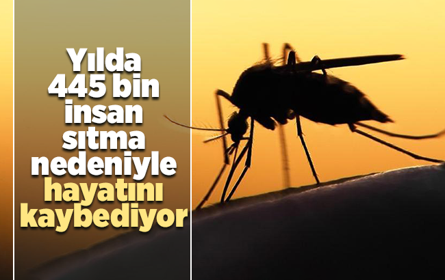 İl Sağlık Müdürlüğü, “Yılda 445 bin insan sıtma nedeniyle hayatını kaybediyor”