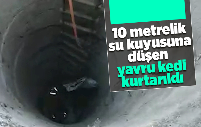 Metrelerce derinlikteki su kuyusuna düşen yavru kedi kurtarıldı