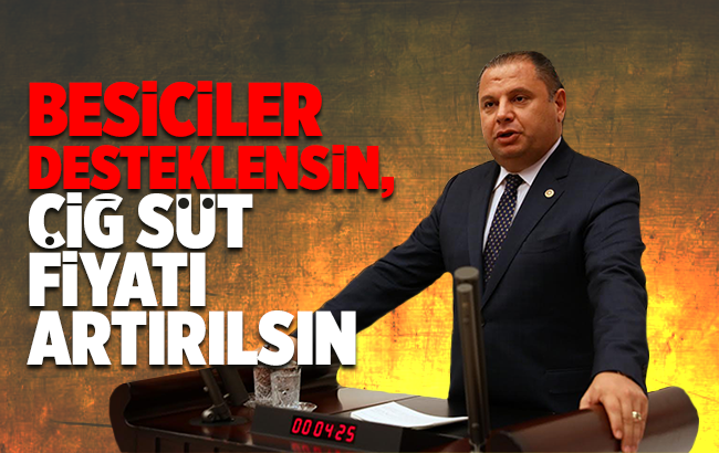 Öztürk, besicinin sorunlarını TBMM’ye taşıdı