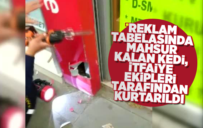 Reklam tabelasında mahsur kalan kedi, itfaiye ekipleri tarafından kurtarıldı 