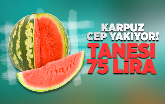 Yaz sezonunun vazgeçilmez meyvesi karpuz dilimle satılıyor: Tanesi 75 lira