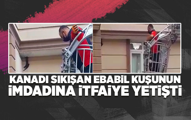 Kanadı sıkışan ebabil kuşunun imdadına itfaiye yetişti