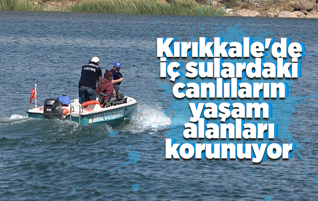 Kırıkkale’de iç sulardaki canlıların yaşam alanları korunuyor