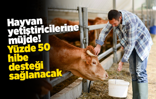 Hayvan yetiştiricilerine yüzde 50 hibe desteği