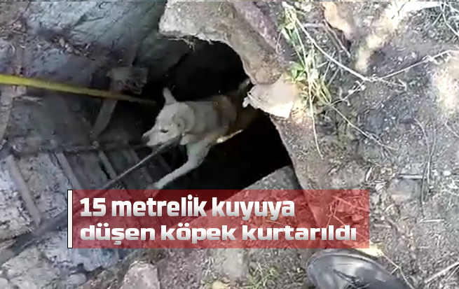 Kırıkkale’de 15 metrelik kuyuya düşen köpek kurtarıldı