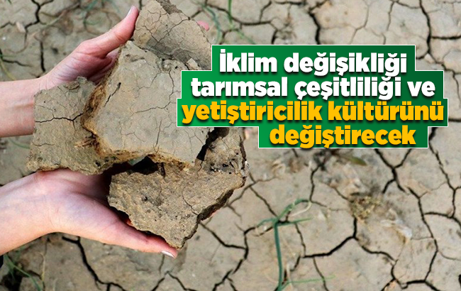 İklim değişikliği tarımsal çeşitliliği ve yetiştiricilik kültürünü değiştirecek