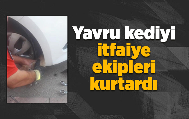  Yavru kedi, itfaiye ekipleri tarafından kurtarıldı