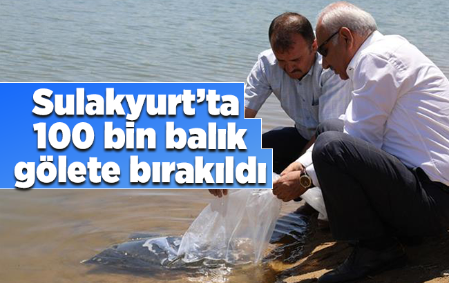 100 bin balık baraj gölüne salındı