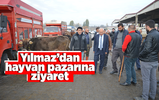 Yılmaz, hayvan pazarında incelemelerde bulundu