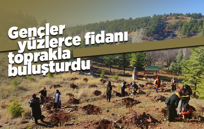 Gençler yüzlerce fidanı toprakla buluşturdu