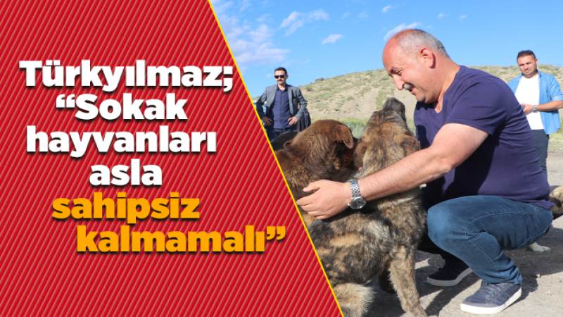 Başkan Türkyılmaz: “Sokak hayvanlarımız asla sahipsiz kalmamalı”