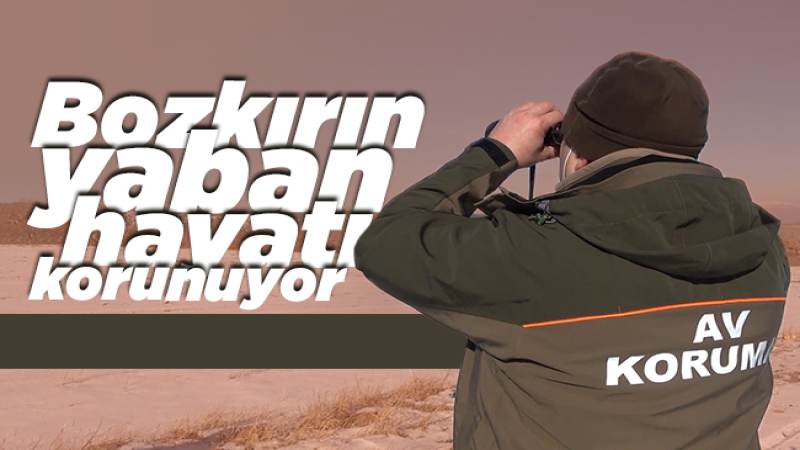 Bozkırın yaban hayatı korunuyor