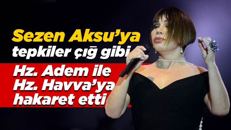 Sezen Aksu'dan kariyerini bitirecek şarkı