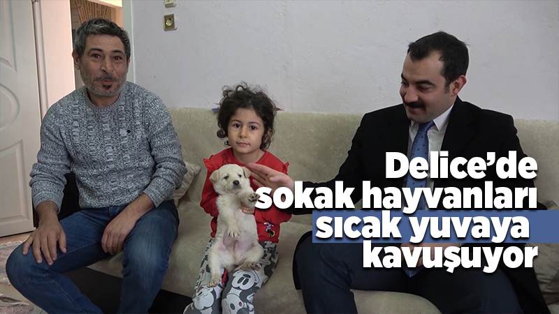 Sokaktan sahiplenilen 'canlar' sıcak yuvaya kavuşuyor